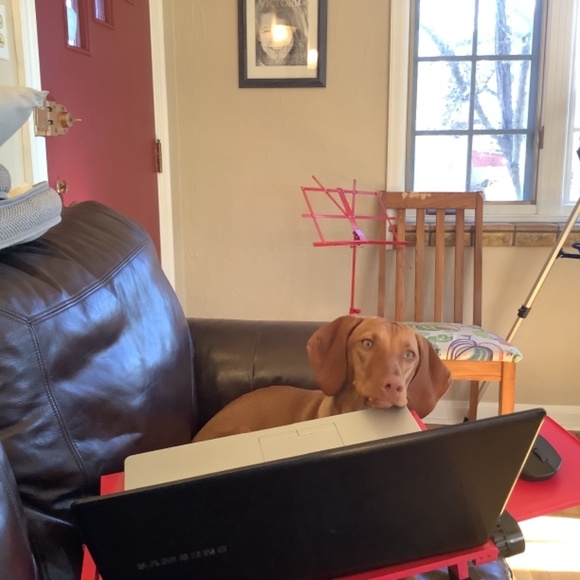 Computer stand - Picture 6 of 6